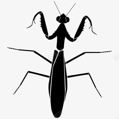 螳螂昆虫动物群图标图标