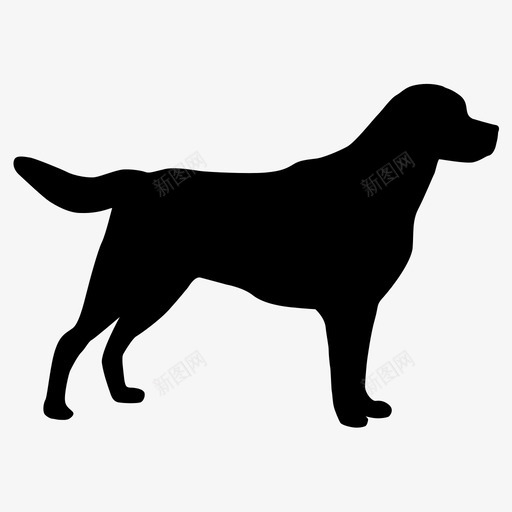狗猎犬宠物狗图标svg_新图网 https://ixintu.com 动物 动物区系 宠物狗 拉布拉多 拉布拉多猎犬 犬类 狗 猎犬