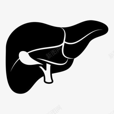 肝脏器官医学图标图标