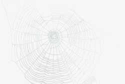 自然暗黑蜘蛛网杂七杂八素材