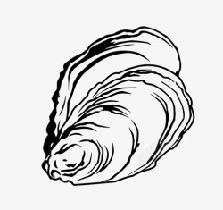甲壳类动物牡蛎贝壳海鲜图标高清图片