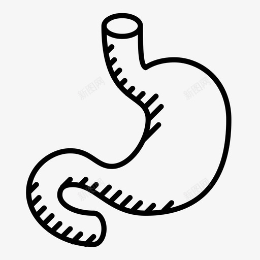 胃过程器官图标svg_新图网 https://ixintu.com 器官 消化 消化系统 肌肉 胃 腹部 解剖学 身体部分 过程 食物