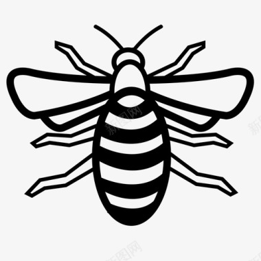 蜜蜂动物和昆虫图标图标