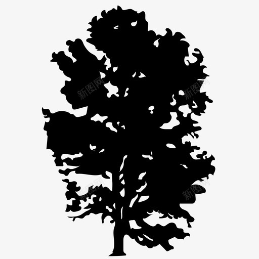 垂柳树木坚实的偶像图标svg_新图网 https://ixintu.com 坚实的偶像 垂柳 树木