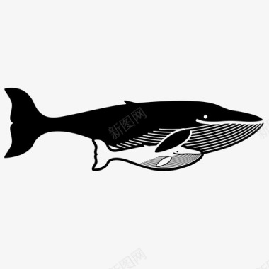 鲸鱼观鲸游泳图标图标