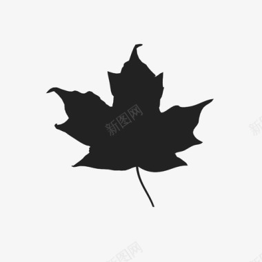 枫叶秋天加拿大图标图标
