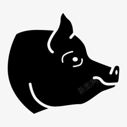 杭椒猪脸肉猪猪肉自然图标高清图片