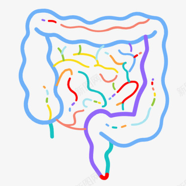 肠解剖学消化图标图标