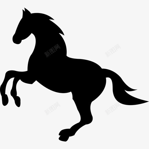野生黑马前脚抬起动物马2匹图标svg_新图网 https://ixintu.com 动物 野生黑马前脚抬起 马2匹