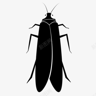 虫甲虫生物图标图标