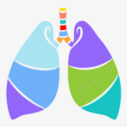 器官肺解剖学身体图标高清图片