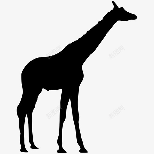 长颈鹿动物实心图标svg_新图网 https://ixintu.com 动物实心图标 长颈鹿
