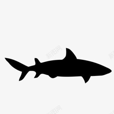 鲨鱼锋利海洋生物图标图标