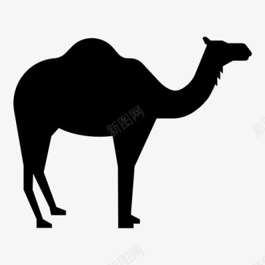 骆驼动物商队图标图标