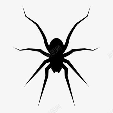 蜘蛛动物蜘蛛纲动物图标图标