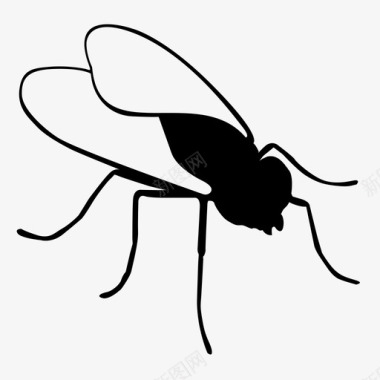 苍蝇虫子昆虫图标图标