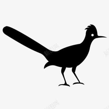 鸟动物布谷鸟图标图标