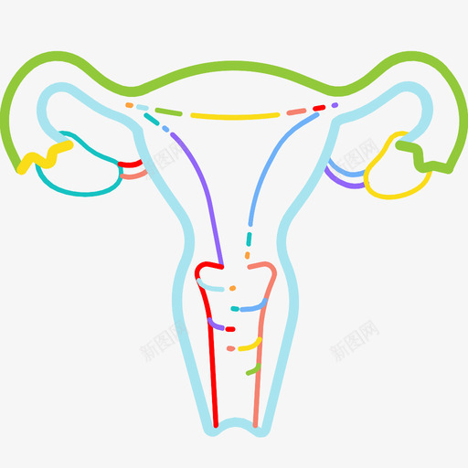 子宫解剖学生育图标svg_新图网 https://ixintu.com 器官 女性 子宫 生育 胎儿 解剖学 骨盆