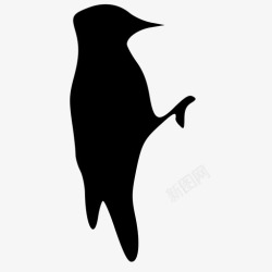 啄木鸟标志啄木鸟图标高清图片
