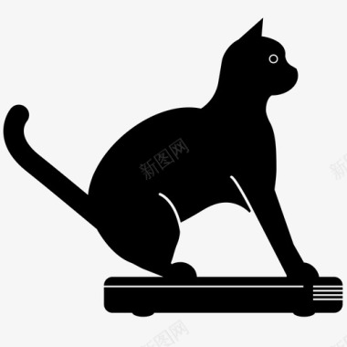 roomba猫清洁猫吸尘猫图标图标
