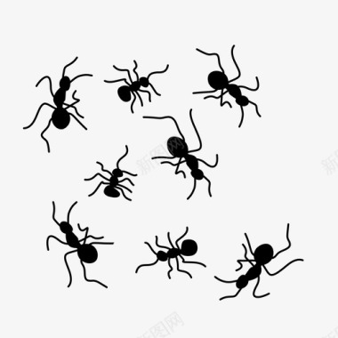 蚂蚁虫子生物图标图标