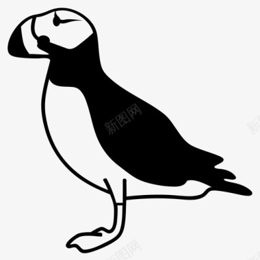 海雀动物鸟图标图标