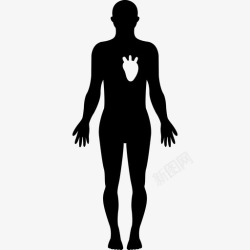 白色心脏心脏医疗身体部位的白色图像的人体轮廓图标高清图片