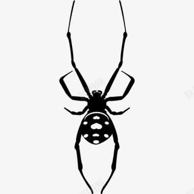地中海黑寡妇草原蜘蛛蜘蛛网图标图标