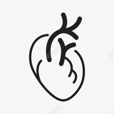 心脏解剖学心血管图标图标