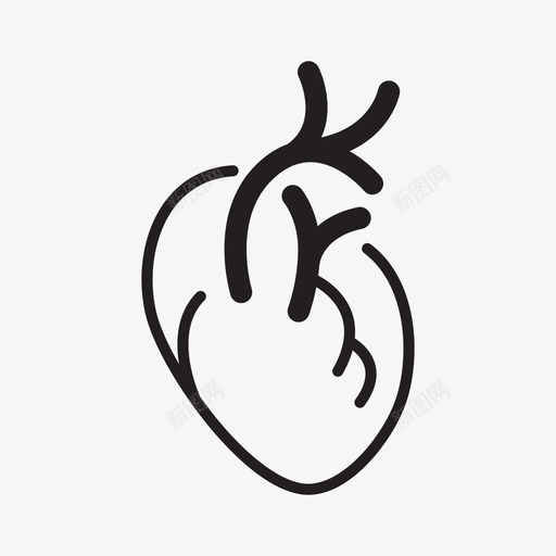 心脏解剖学心血管图标svg_新图网 https://ixintu.com 32个器官 健康 器官 心脏 心血管 泵 肌肉 解剖学