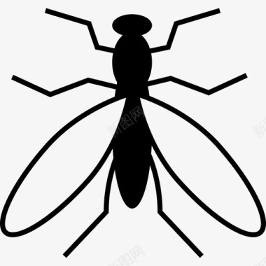 从顶部看蚊子动物科学技术图标图标