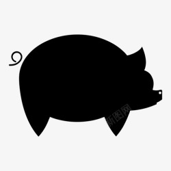 仔猪猪动物培根图标高清图片