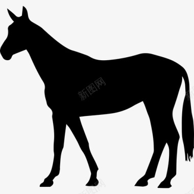 马瘦瘦的黑色站立形状长尾朝左动物图标图标