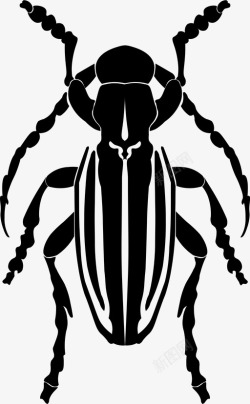 六条腿甲虫动物虫子图标高清图片