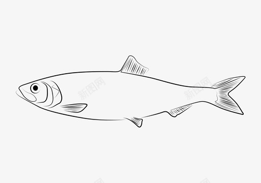 鱼寿司海图标svg_新图网 https://ixintu.com 动物 宠物 寿司 晚餐 海 海洋 自然 野生动物 食物 鱼