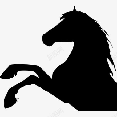 马抬起脚侧视轮廓头部部分动物马图标图标