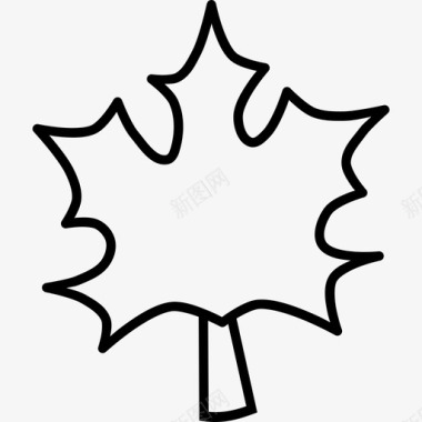 枫叶植物感恩节图标图标