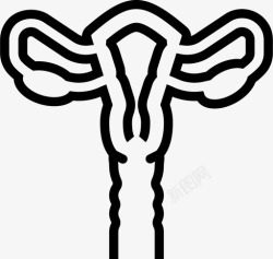 女性器官女性器官身体解剖图标高清图片