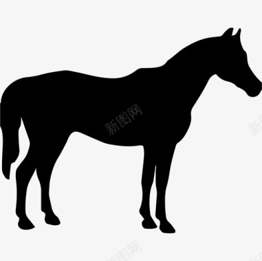马黑影面朝右动物马3图标图标