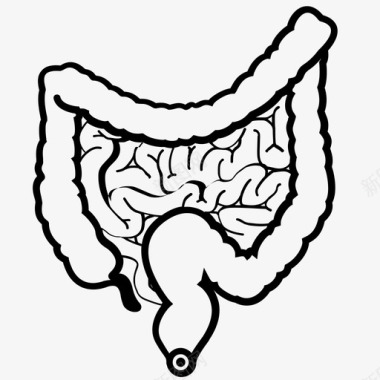 肠消化食物图标图标