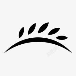 树没叶的树树干树枝树干树图标高清图片