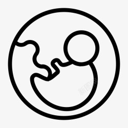 胎盘胎儿超声子宫图标高清图片
