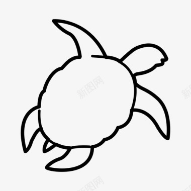海龟动物水族馆图标图标