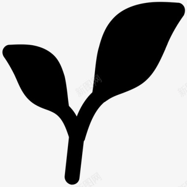 植物自然大胆的固体图标图标