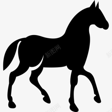 黑马行走姿势侧视图动物马2图标图标