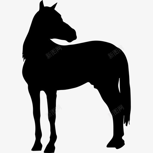 马站着黑色的侧影头转向右侧动物图标svg_新图网 https://ixintu.com 动物 头转向右侧 马3匹 马站着黑色的侧影