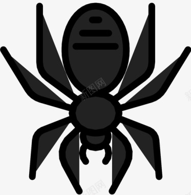蜘蛛黑寡妇虫子图标图标