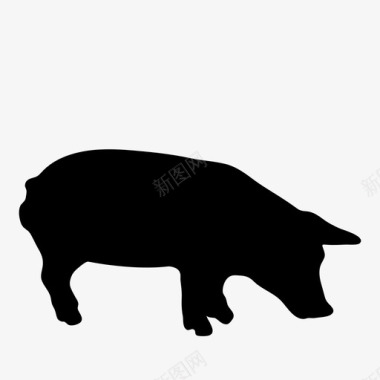 雄性猪动物图标图标