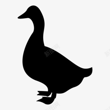 鸭子动物1图标图标