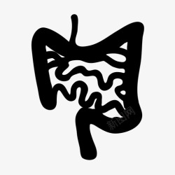小肠结肠的轮廓肠小肠器官图标高清图片